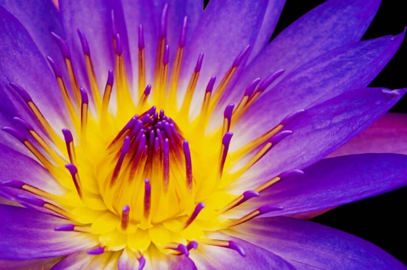 three-sources-of-intuition