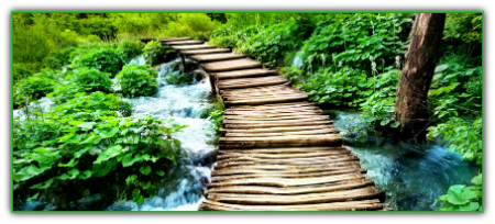 understanding-the-anatomy-of-our-beliefs