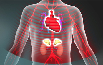 the-dangerous-cellular-effects-of-stress