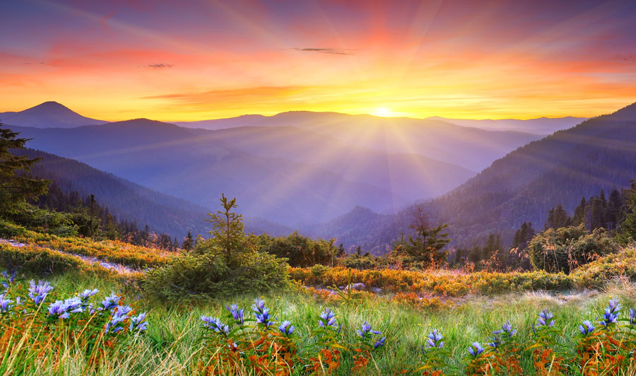 fulfilling-your-desire-nature