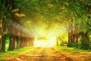 Changeable Nature Of Your Future