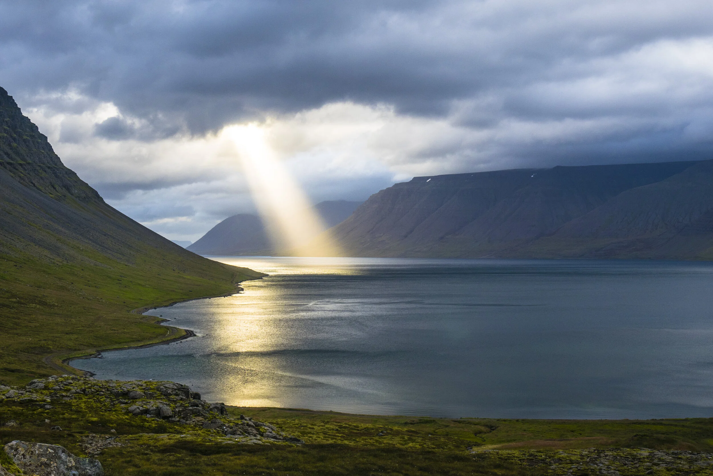 Let Your Spirit Shine